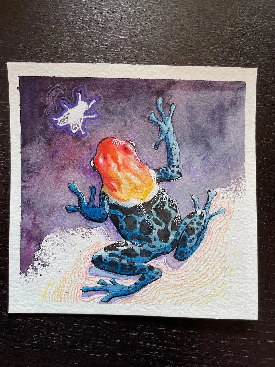 Poison Dart Frog