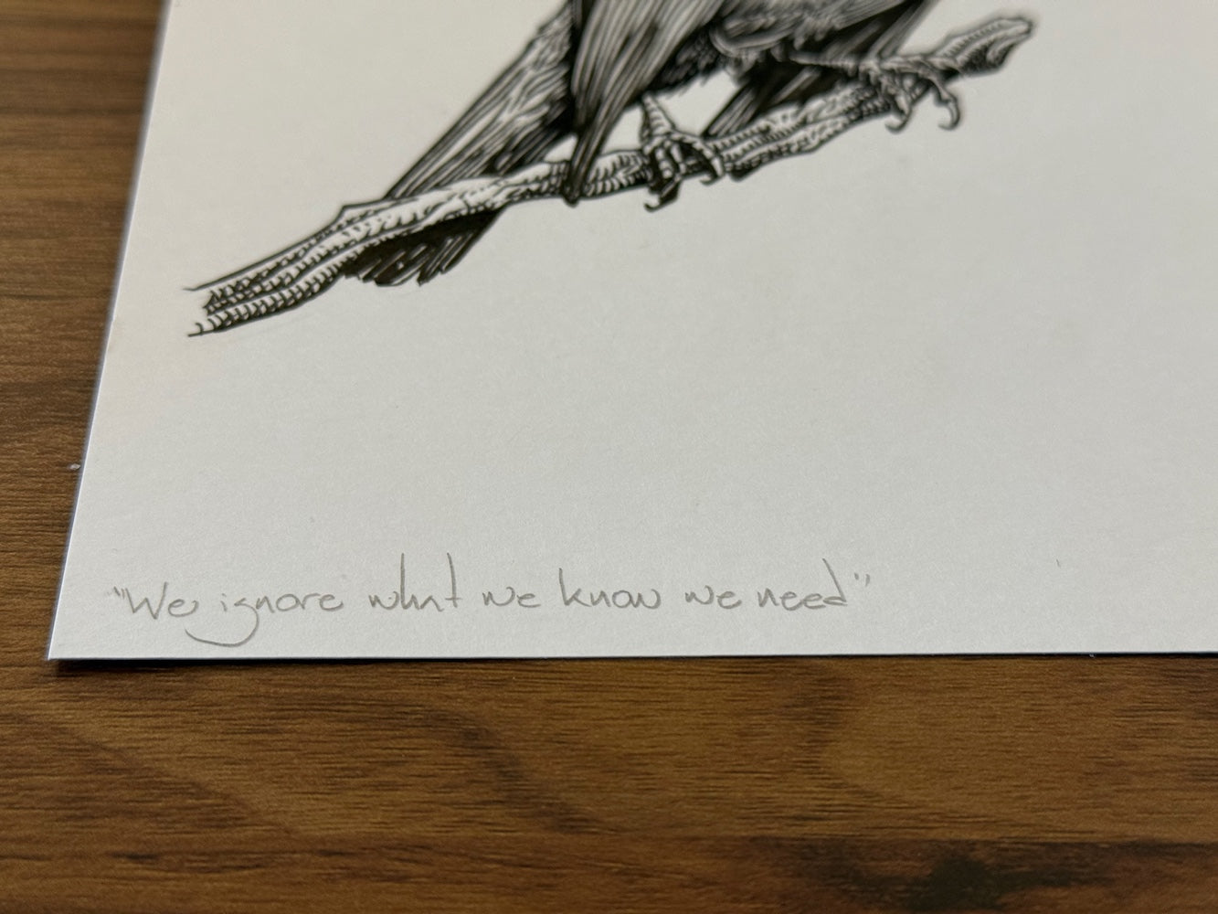 "Ignore" Original Drawing