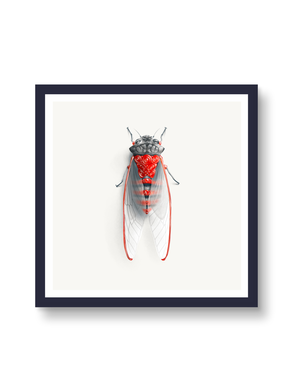 Cicada (Candied Critters)