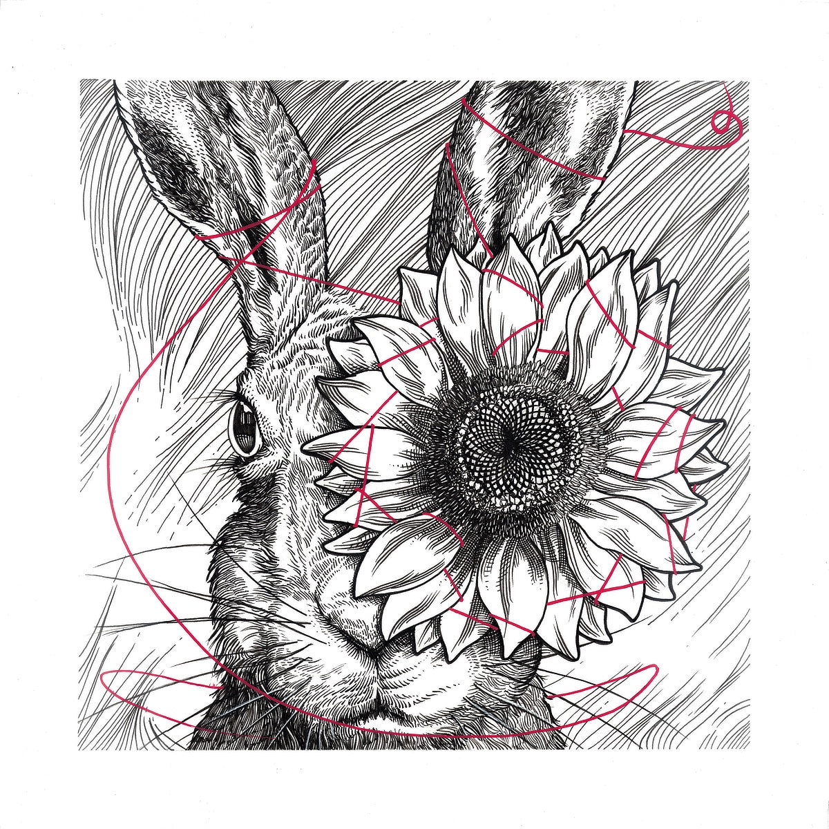 "Night" Limited Edition Print