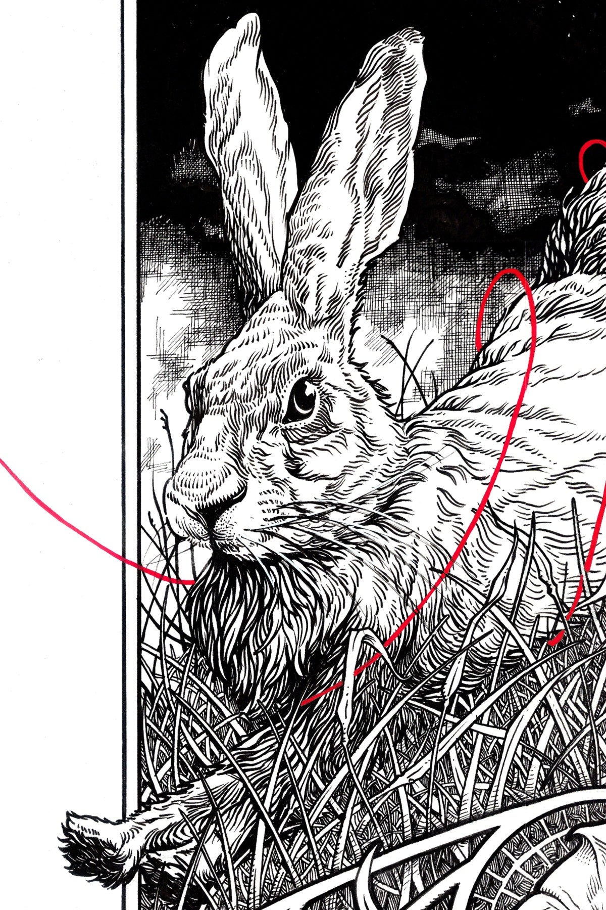 "Night" Limited Edition Print