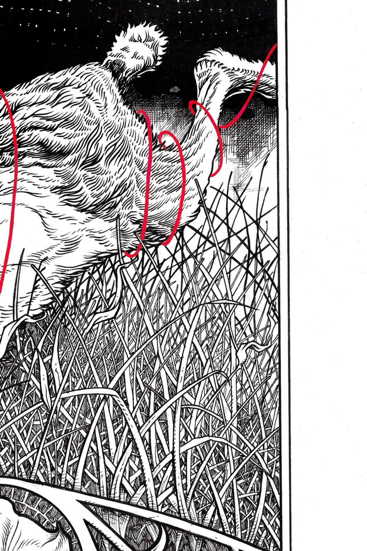 "Night" Limited Edition Print