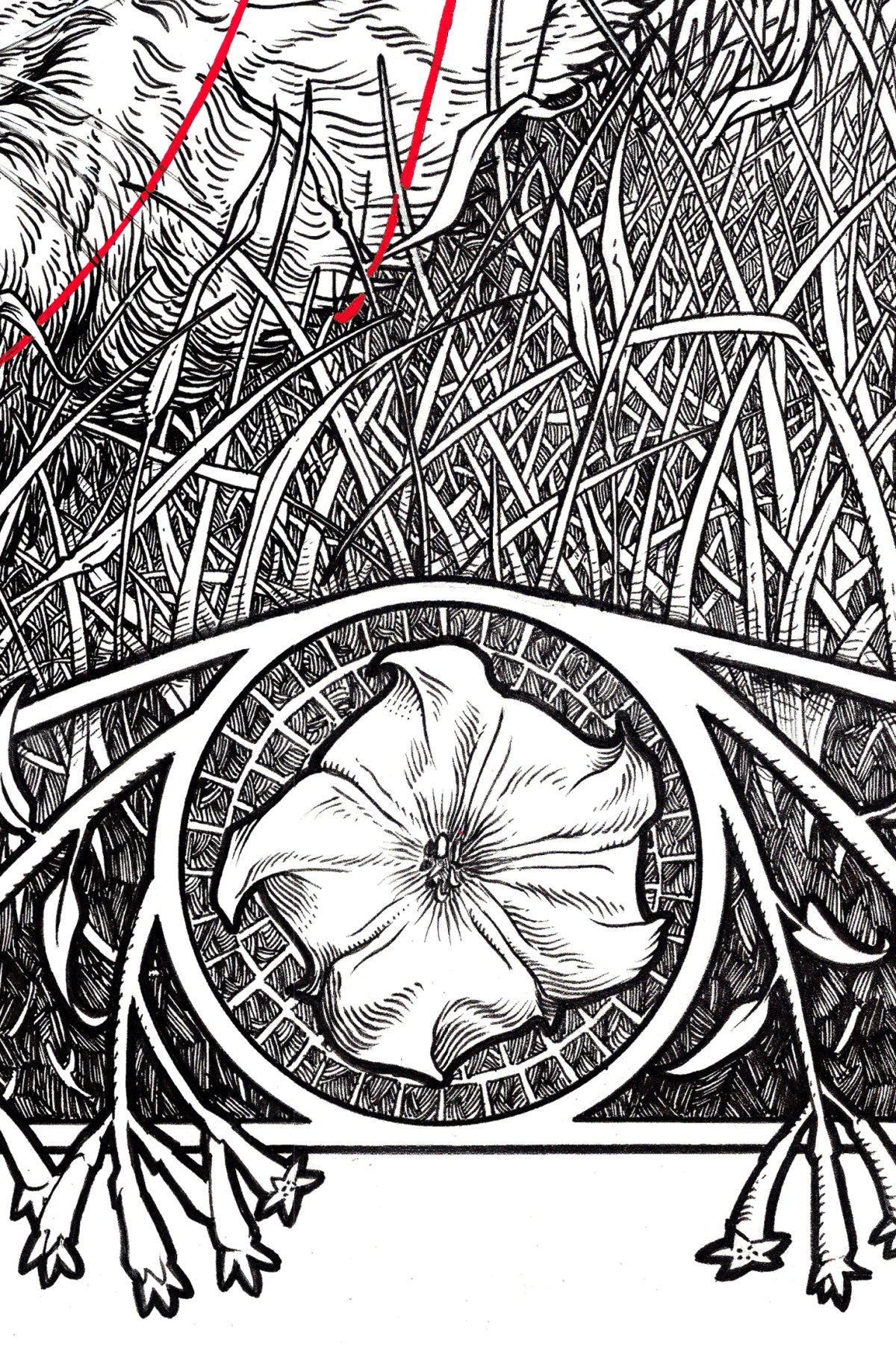 "Night" Limited Edition Print